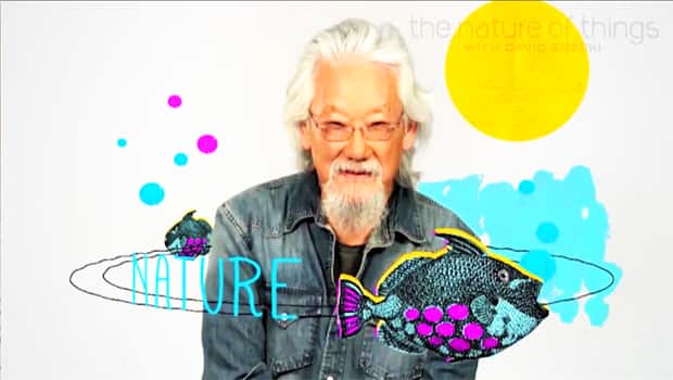 the nature of cultures by david suzuki With david suzuki, niobe thompson, jennifer gardy, berynn schwerdt various science documentaries are presented. the nature of cultures by david suzuki With david suzuki, niobe thompson, jennifer gardy, berynn schwerdt various science documentaries are presented.