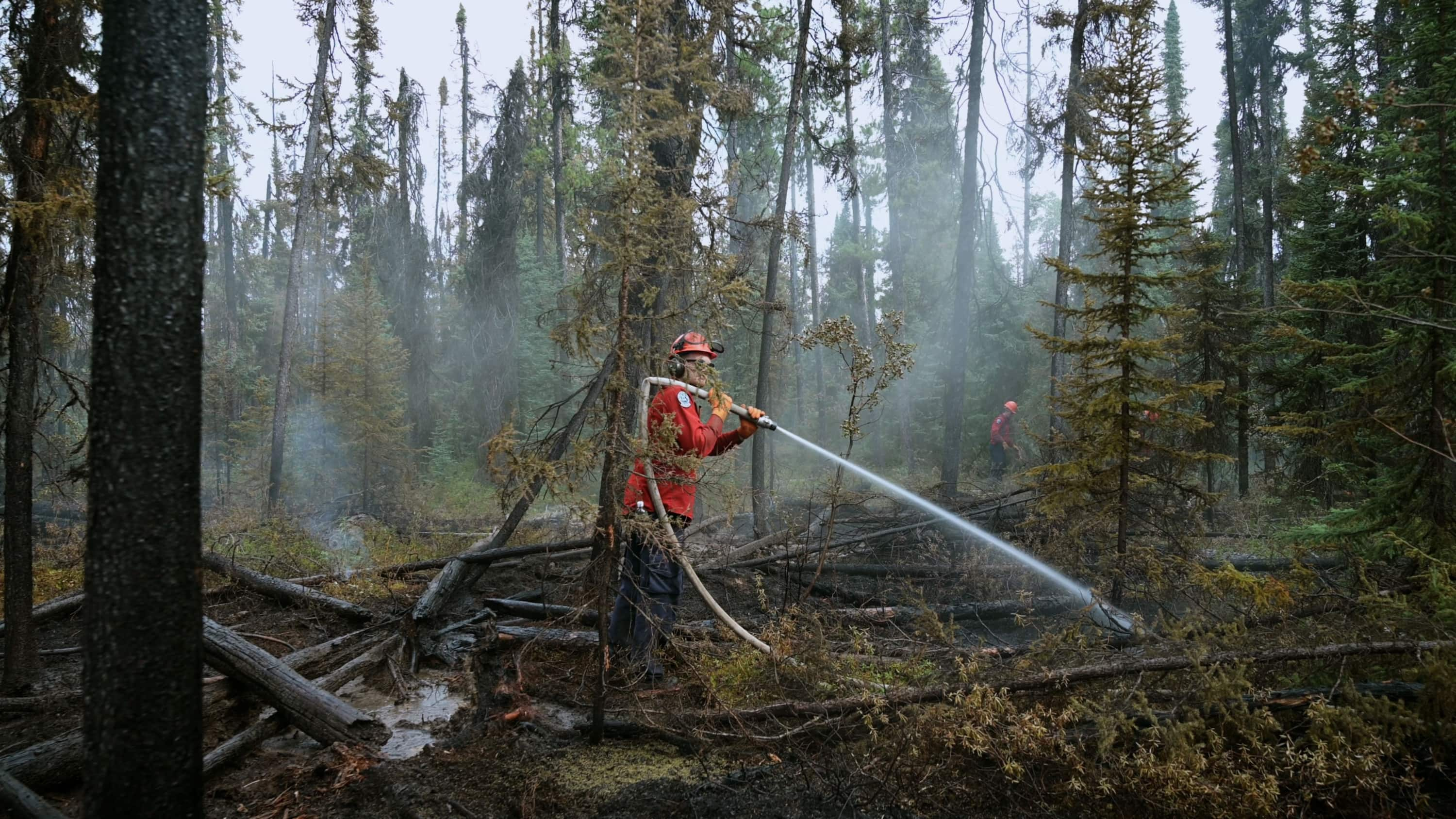 B.C.'s Elite Crew Of Smokejumpers Are Trained To Get To Forest Fires ...