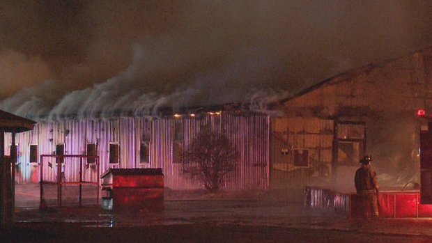 Barn fire in Puslinch, Ont., kills more than 40 racehorses | CBC News