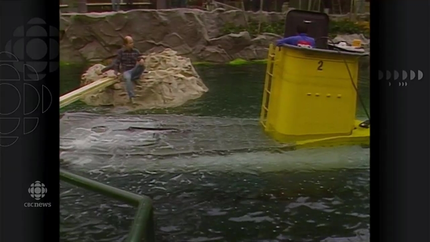 Taking A Deep Dive Into The History Of Wem S Waterpark Cbc News