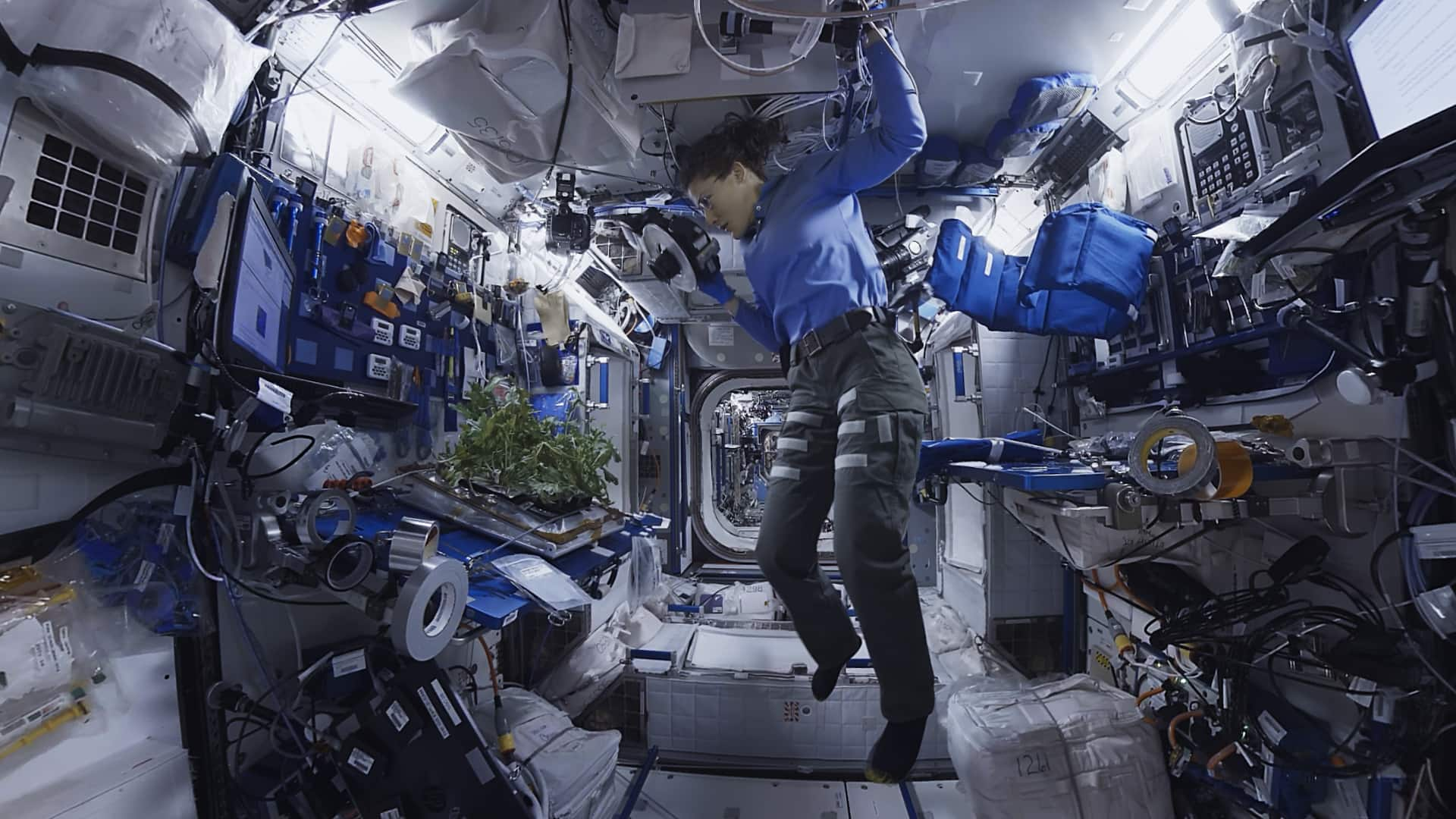 Learning To Grow Plants In Space Space Explorers Moonrise On The ISS CBC Ca