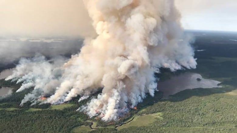 Climate tipping points are difficult to predict. In Canada and beyond ...