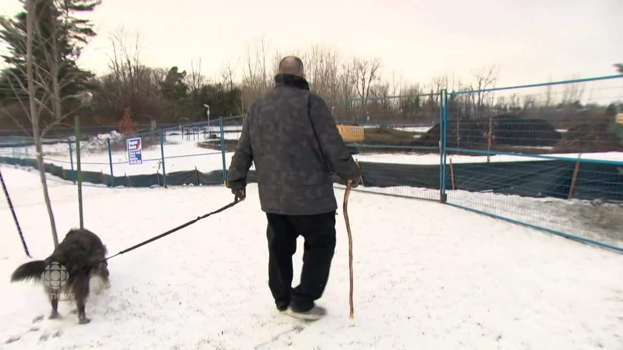 aylmer off leash dog park