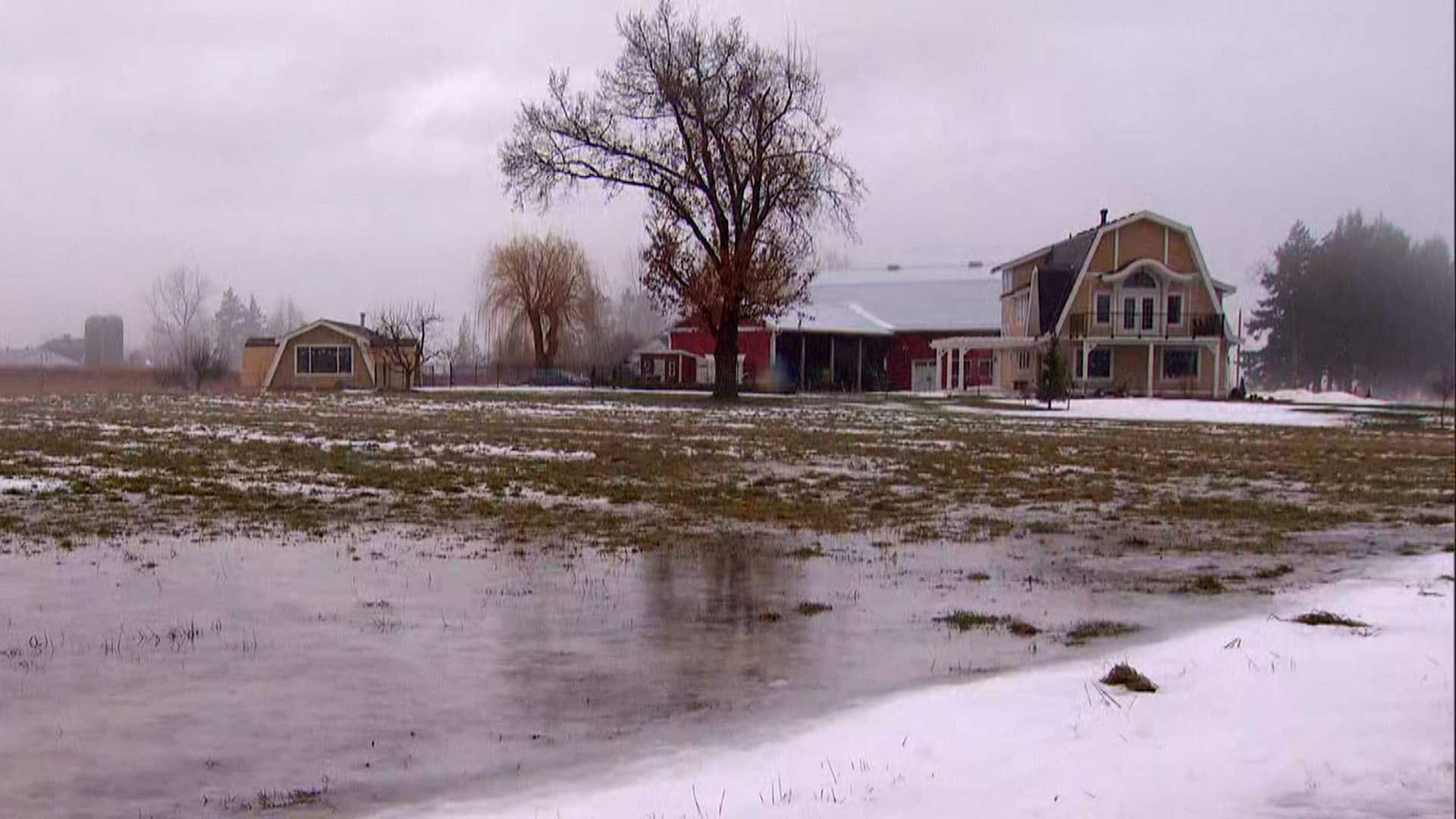 Torrential Rain Set To Hit B.C.'s South Coast, Prompting Flood Warnings ...