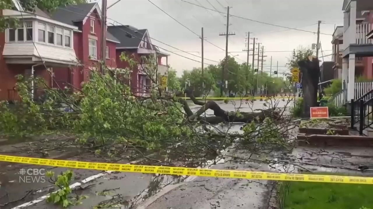 Deadly derecho storms explained | CBC.ca