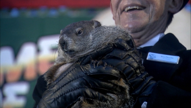 Groundhog Day: Furry forecaster consensus is 6 more weeks of winter ...