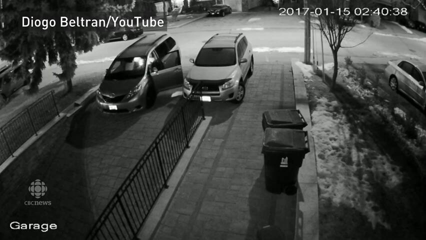 Alleged Thief Caught On Camera Targeting East York Homes | CBC News