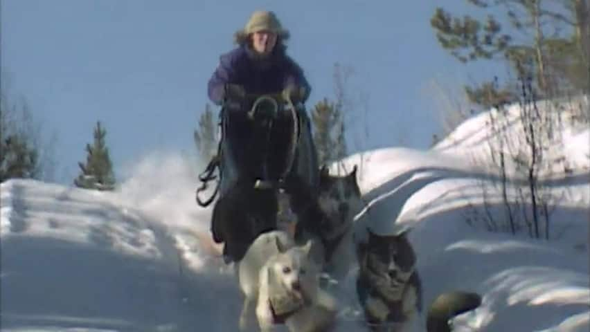 Musher shares her Yukon Quest strategy | CBC.ca