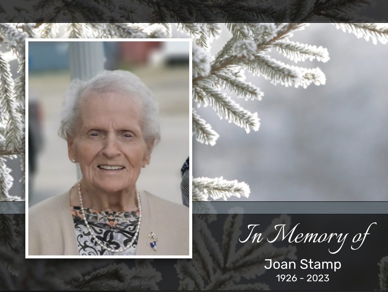 Pillars Of The Community Remembered: Obituaries From The Wilmington Star News
