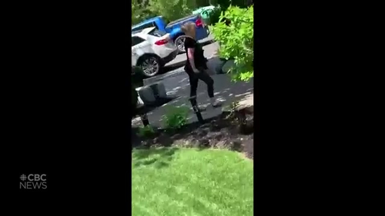 hamilton police investigate after video appears to show woman calling baby the n word cbc news