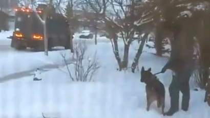 Officer kicks police dog | CBC.ca