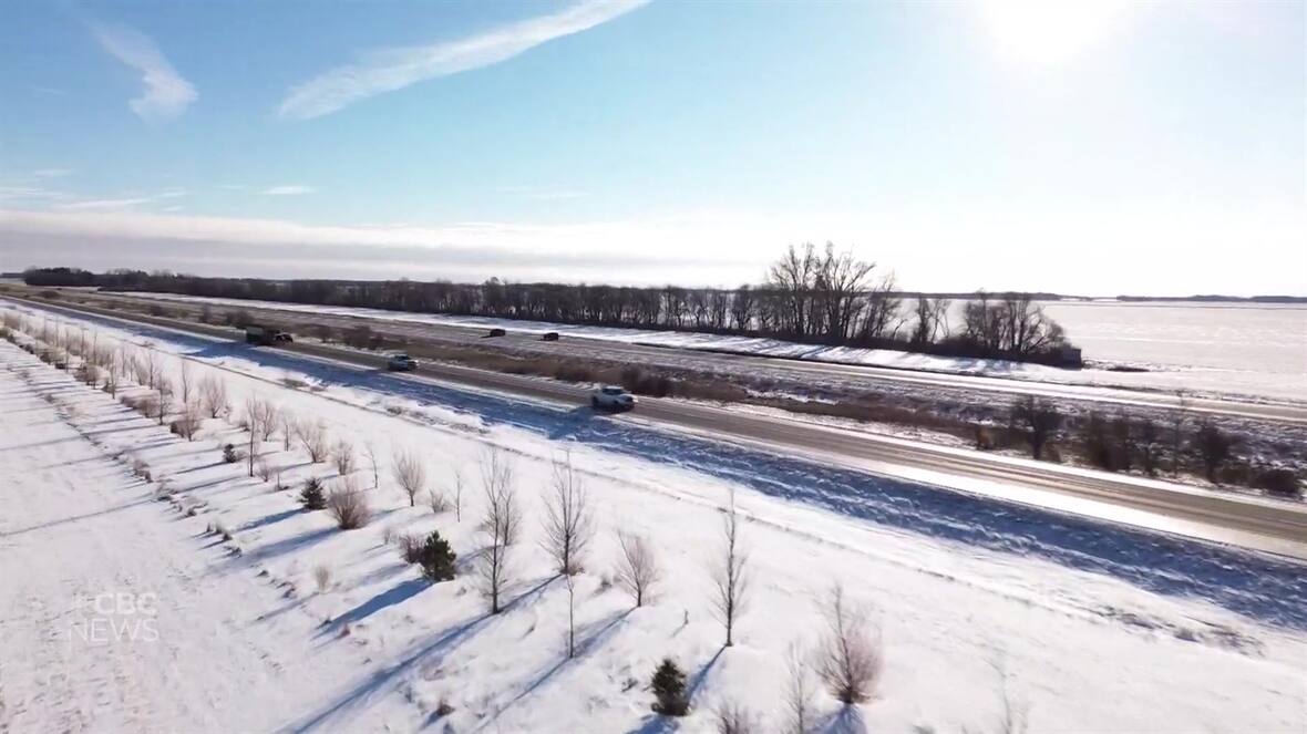 Manitoba Planting Shelterbelt Ecozones To Improve Highway Conditions manitoba-planting-shelterbelt-ecozones-to-improve-highway-conditions