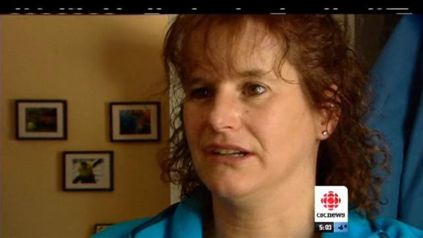 Coyote attacks dog in Orleans | CBC News
