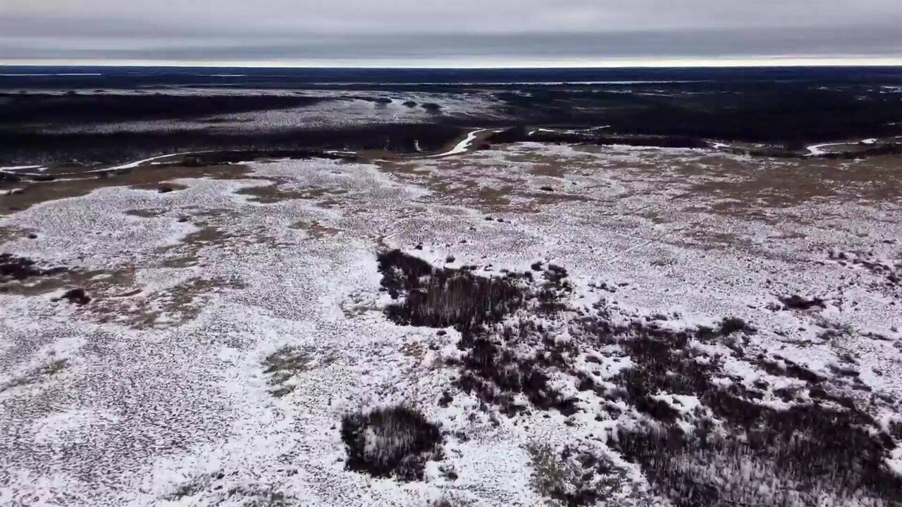 Nature Conservancy of Canada acquires peatland property in eastern ...