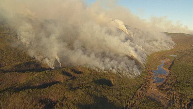 B.C. Heat Wave Increases Concerns Over Forest Fire Risk | CBC News