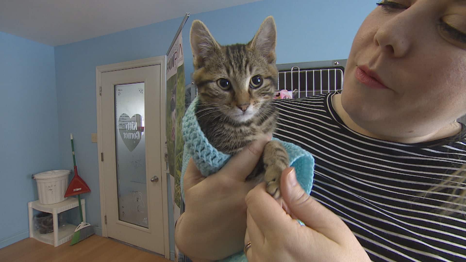 Island Women Keeping Critters Comfy With Hand Knit Blankets For