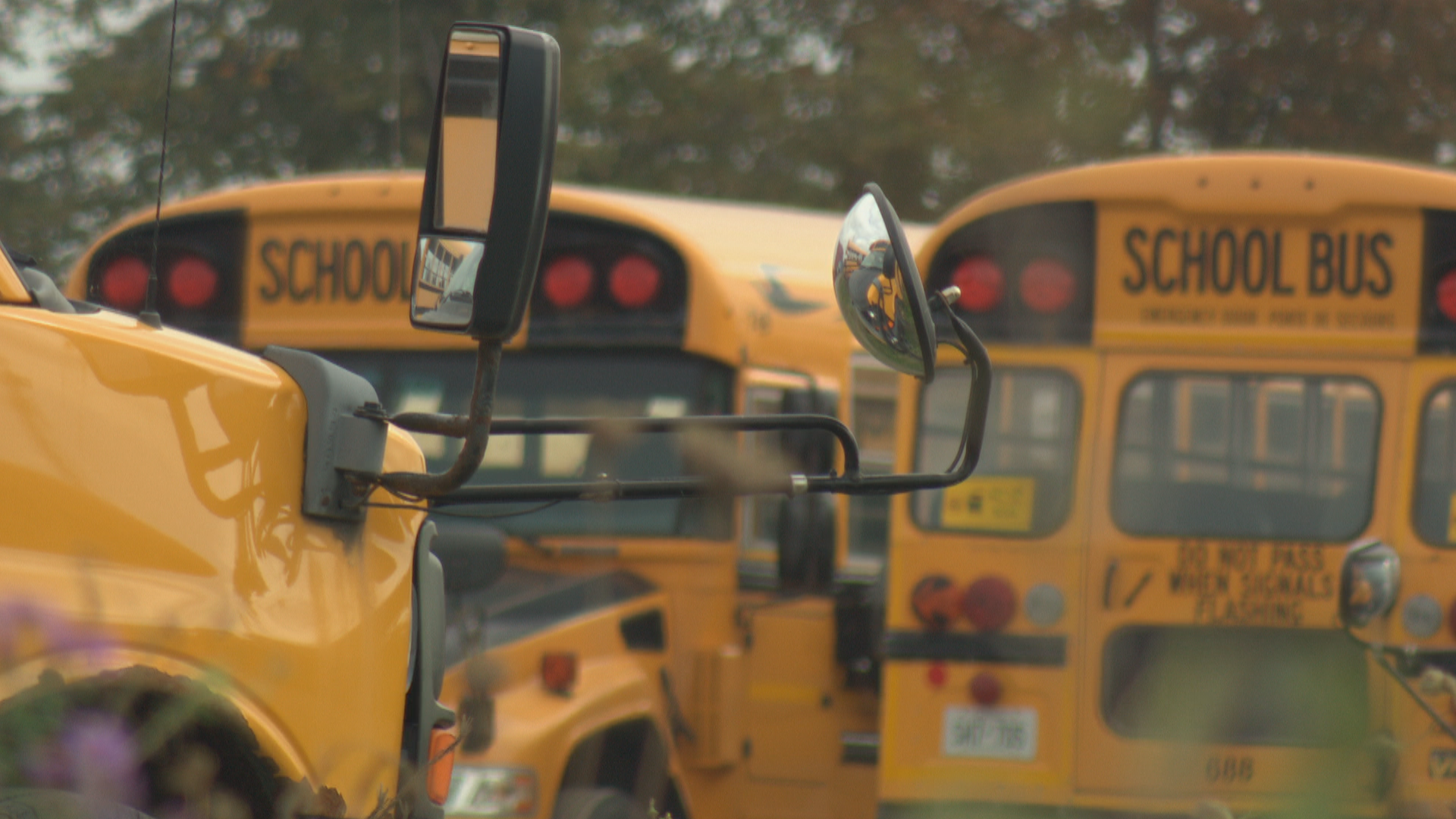 School bus cancellations in Ottawa will last weeks, if not months | CBC ...