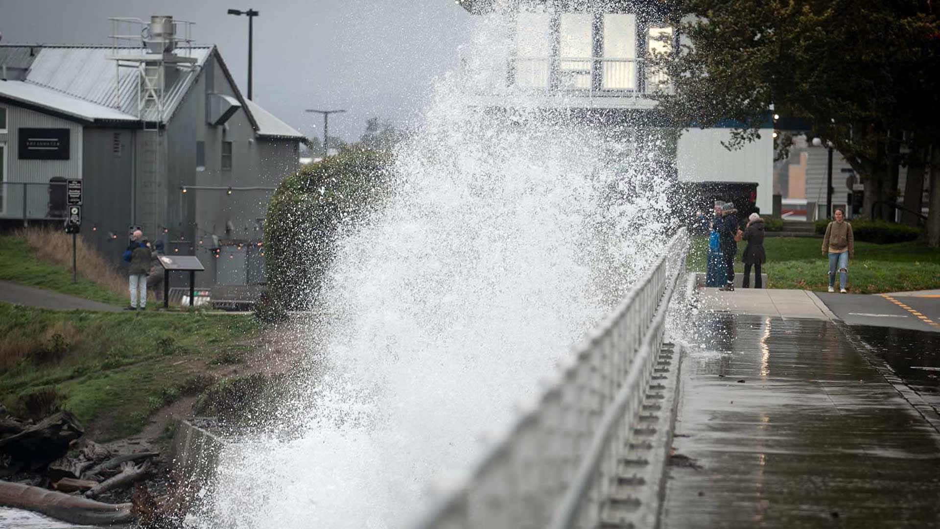 Bomb Cyclone Knocks Out Power To Thousands In B.C. | CBC.ca