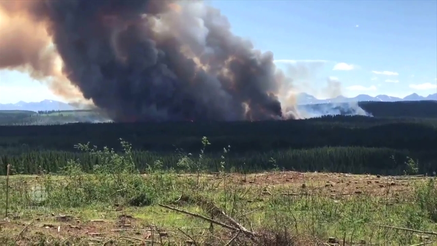 Out-of-control wildfire near Hinton, Alta., more than triples in size ...