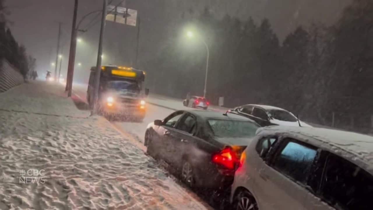 Sliding Cars Crash Into Each Other After Snow Hits Hill In Surrey B C sliding-cars-crash-into-each-other-after-snow-hits-hill-in-surrey-b-c