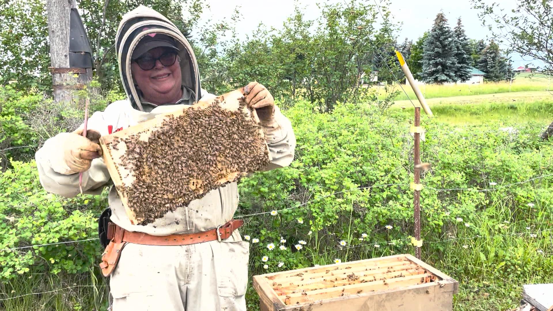 This B C Beekeeper Sold A 15 Jar Of Honey For Over 800 At A Special this-b-c-beekeeper-sold-a-15-jar-of-honey-for-over-800-at-a-special