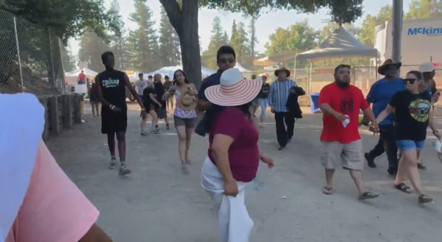 At least 3 killed, 15 injured in shooting at California food festival | CBC  News