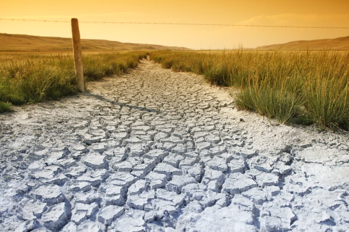 What Does All This Rain Mean For Drought Conditions In Alberta? | CBC.ca