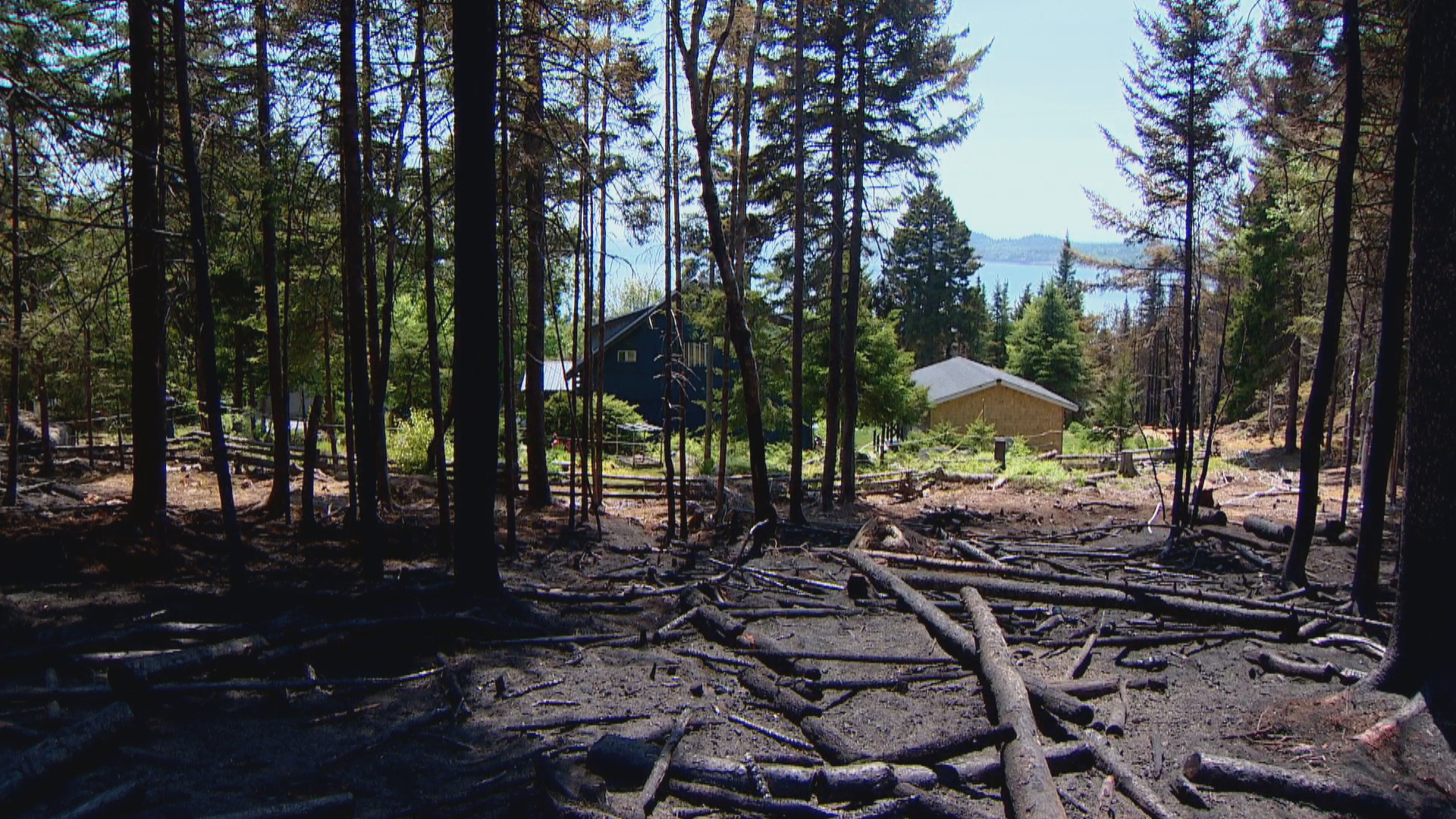 Millions Of Canadians Will Face Extreme Fire Danger This Summer Heres