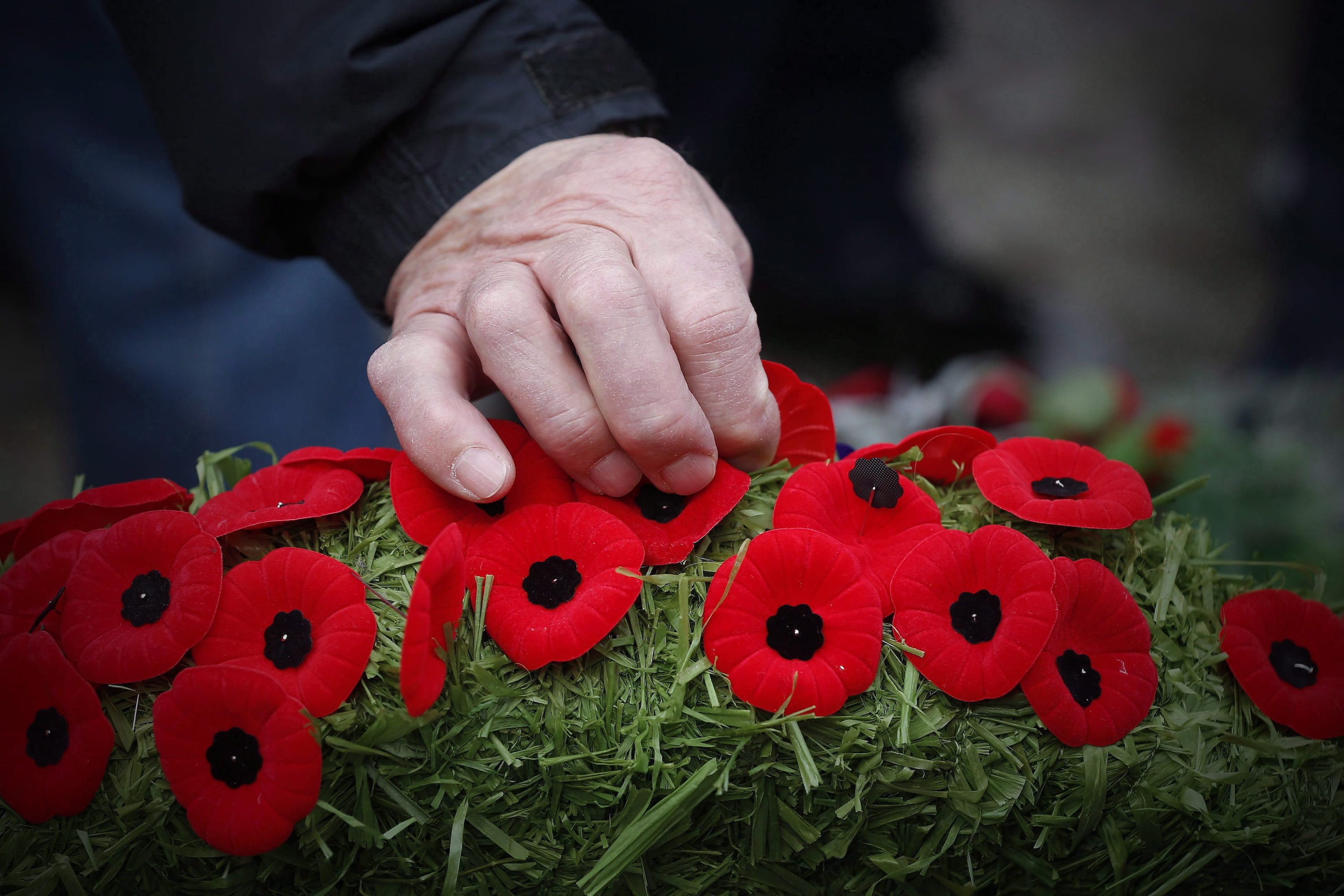 This Year Marks 100th Anniversary Of The Poppy As A Symbol Of   CP14674882 