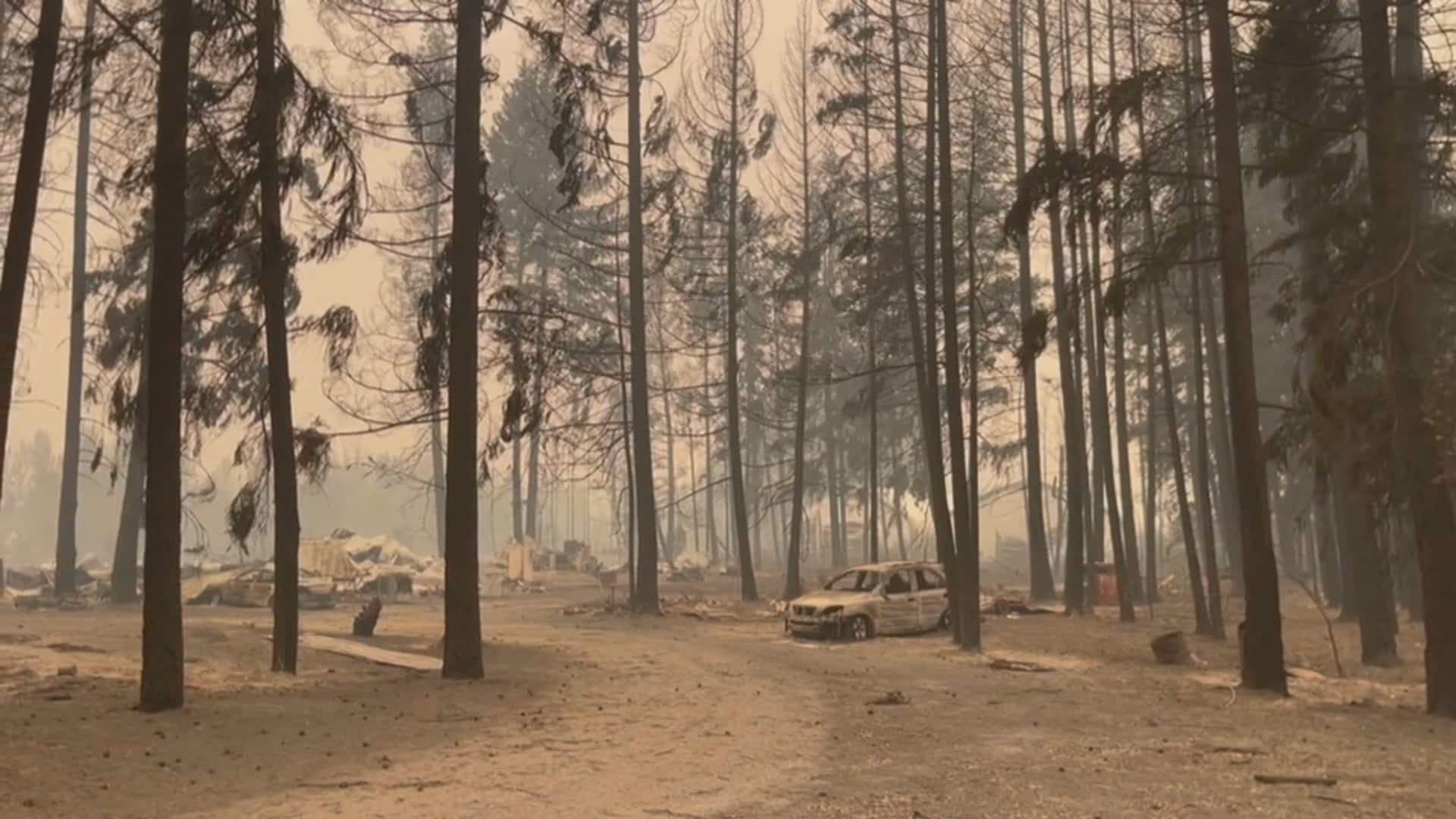 Scenes Of Destruction As Shuswap Region Burns In B.C. | CBC.ca