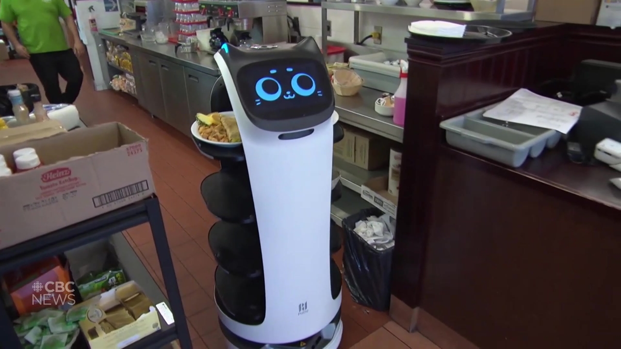 Meet the robotic cat serving diners at a Gatineau restaurant | CBC News