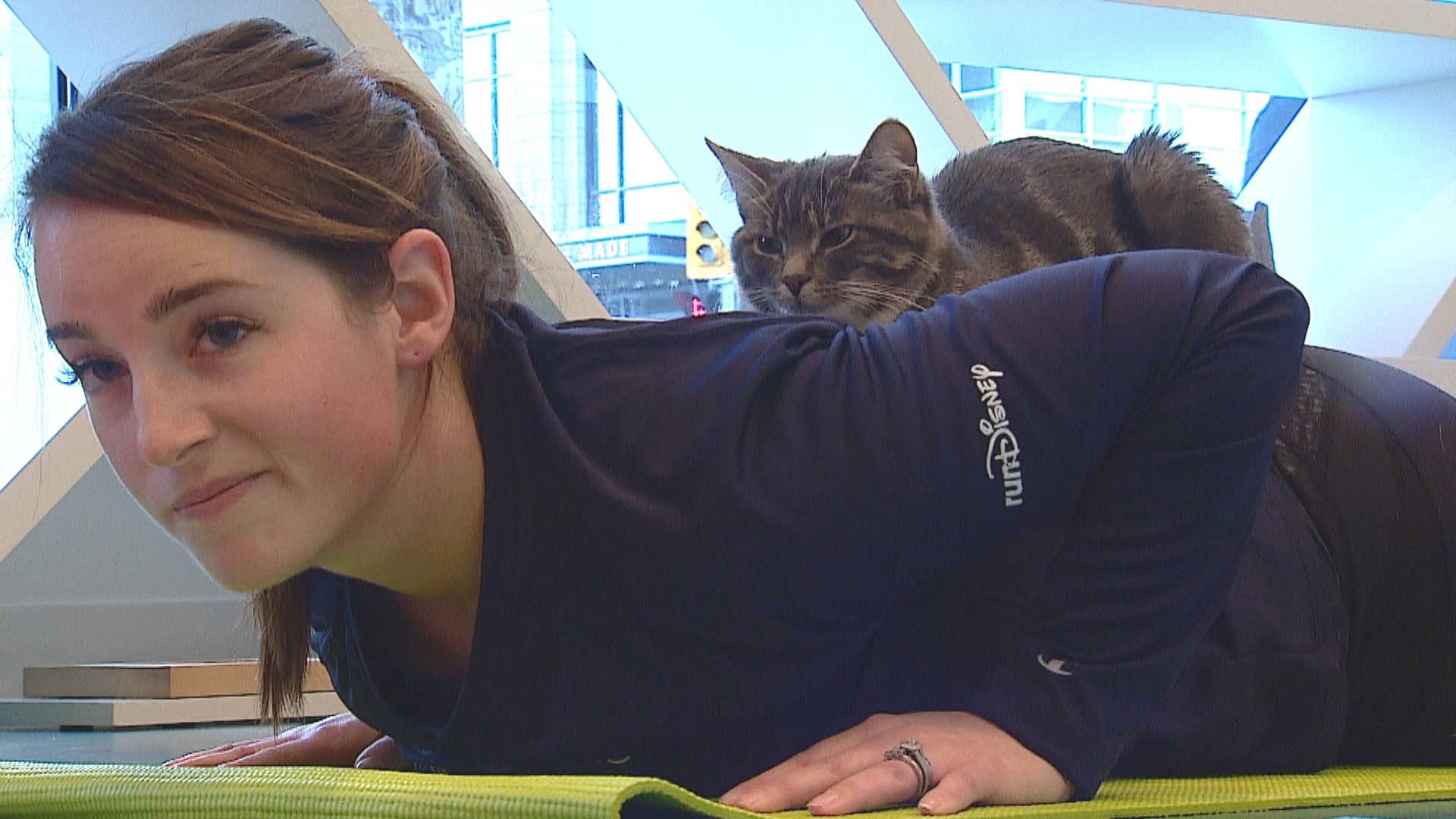 Can Cats Do The Downward Dog Feline Yoga Comes To Calgary Cbc News