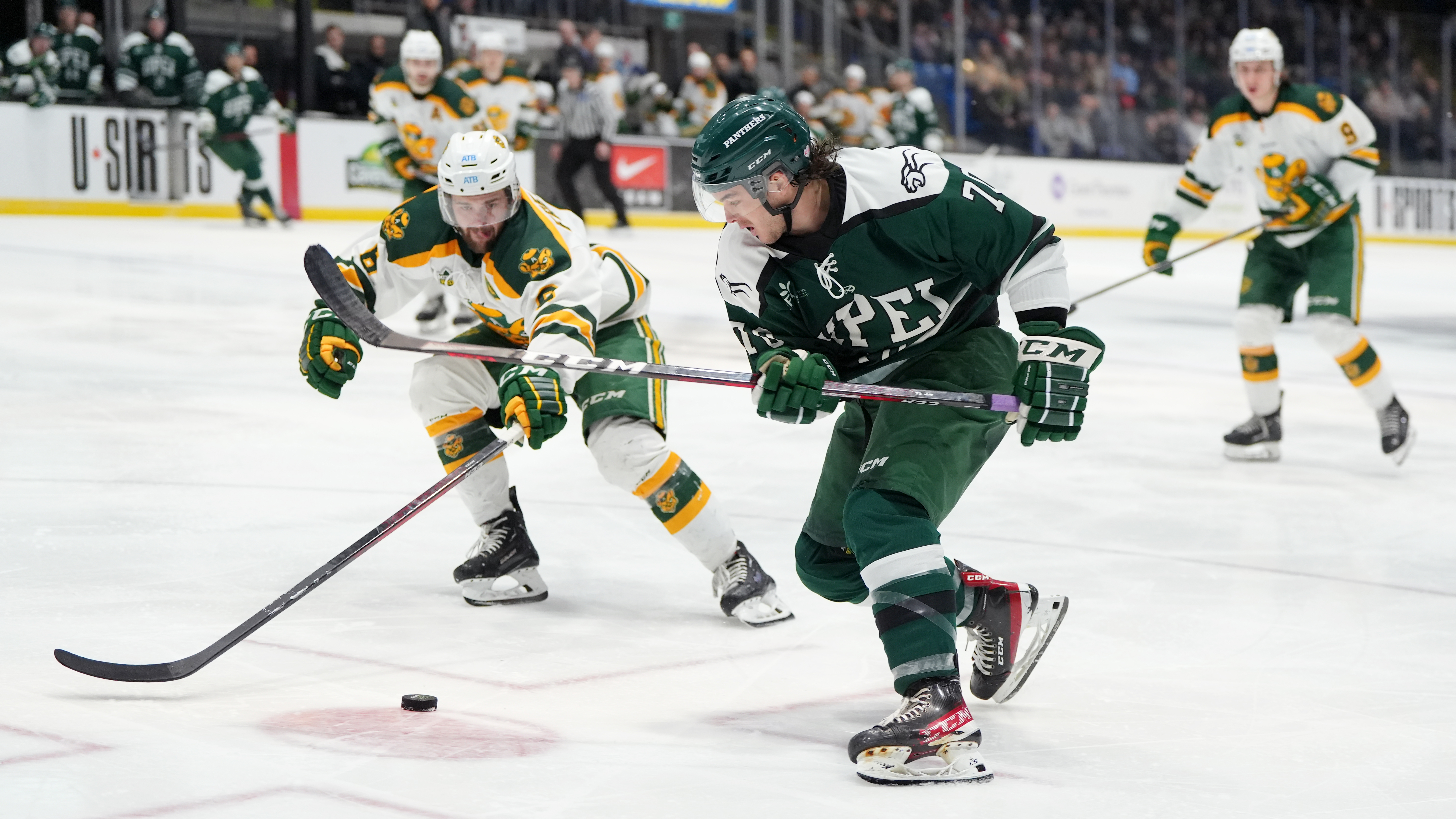 UNB to face U of Alberta in U Sports men's hockey final after ...