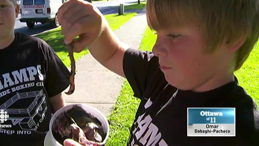 Image result for child selling worms