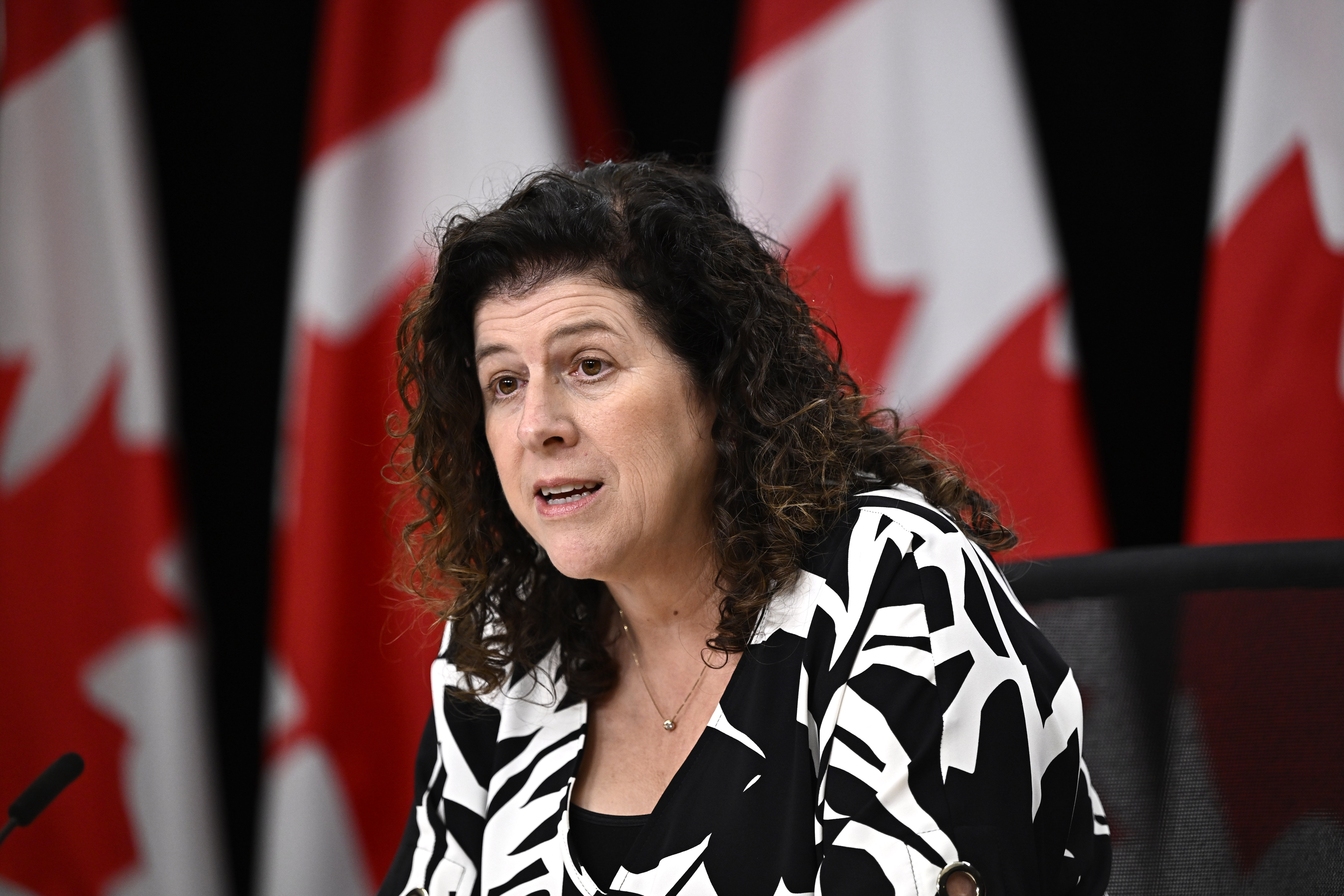 Permanent residency backlog persists despite progress, AG report says ...