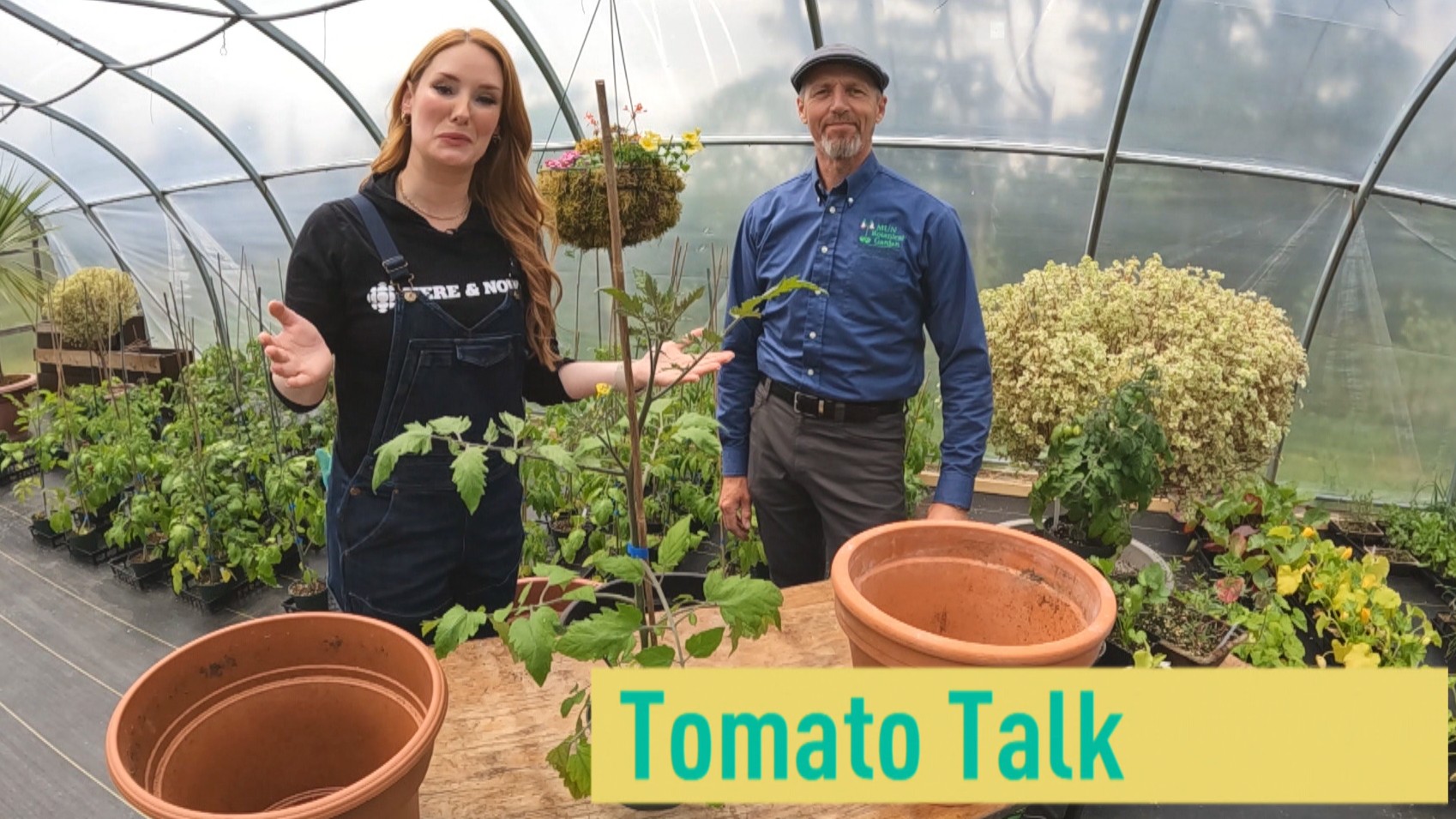 Tomato talk: Practical tips so your garden will be red all over; Tomato talk: Practical tips so your garden will be red all over